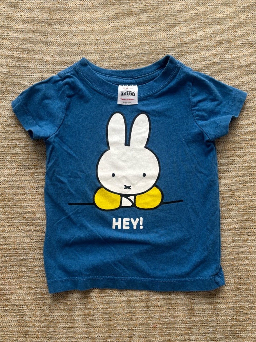 Hanna Andersson | Miffy T-Shirt in Blue 2T